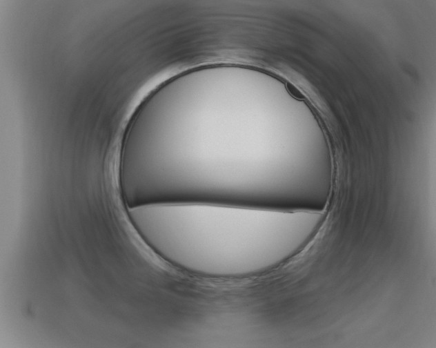 X0000114611246200910200933