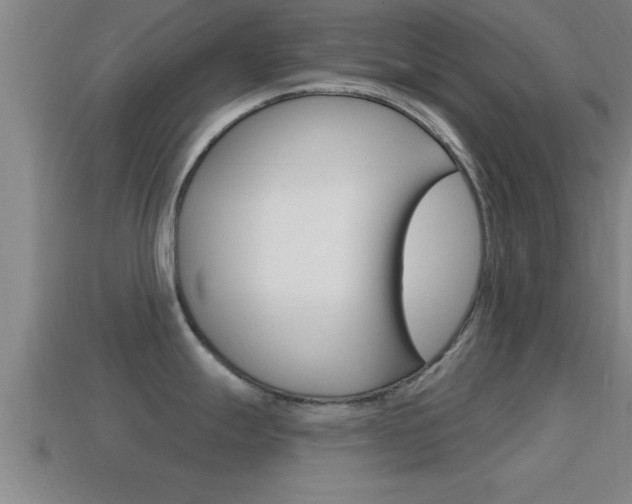 X0000114611247200910200933