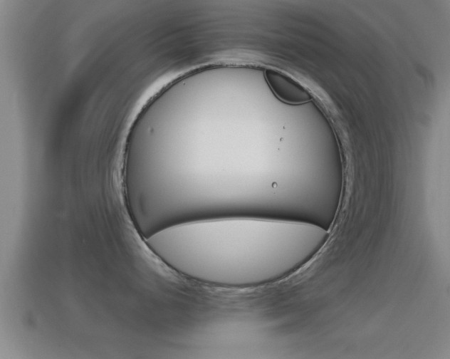 X0000114611248200910200933