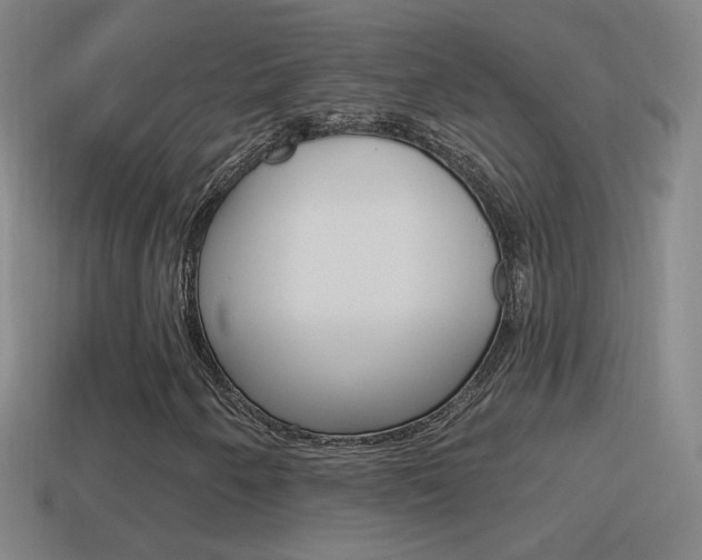 X0000114611250200910200932
