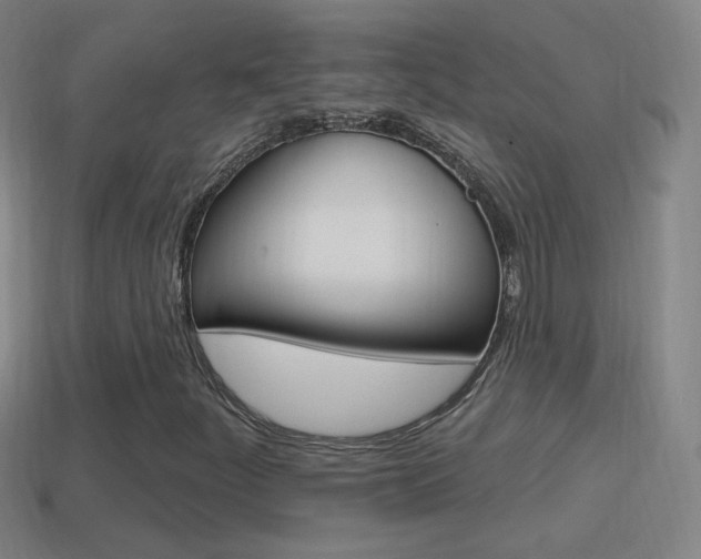 X0000114611252200910200932