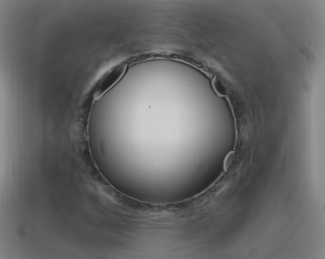 X0000114611256200910200932