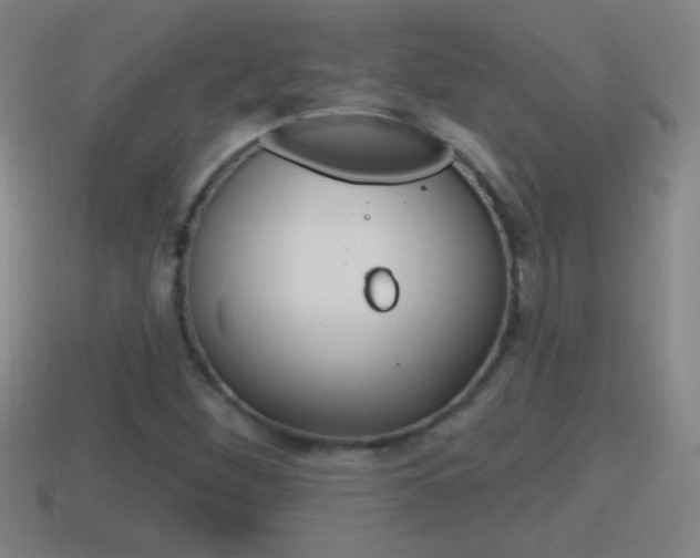 X0000114611260200910200932