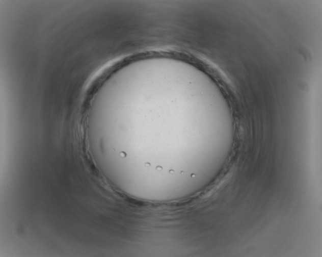 X0000114611262200910200932