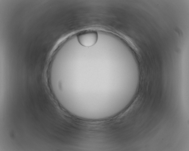 X0000114611264200910200932