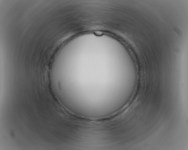 X0000114611265200910200932