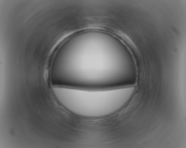 X0000114611268200910200932