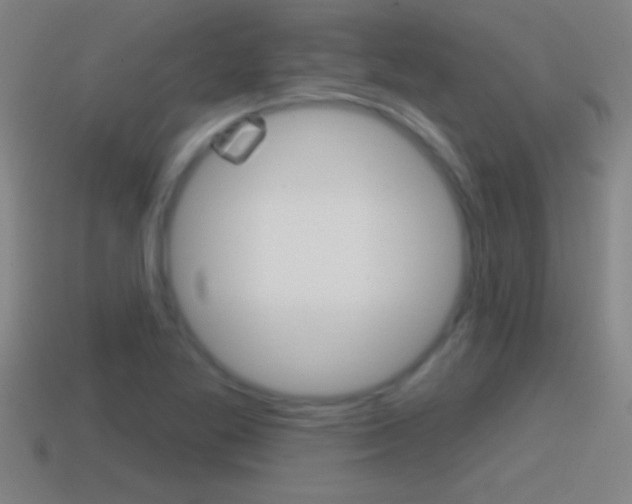 X0000114611269200910200932