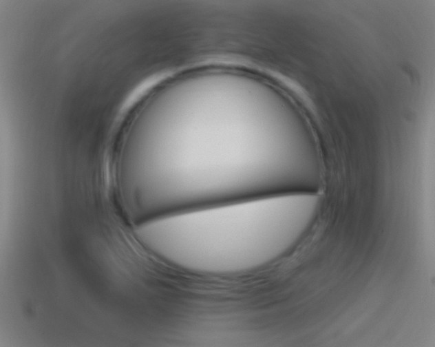 X0000114611271200910200932