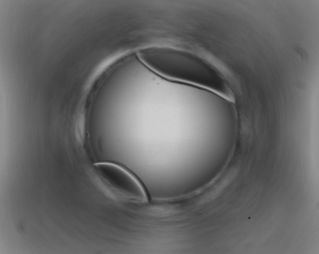 X0000114611272200910200932