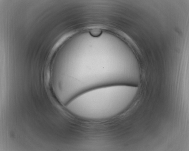 X0000114611274200910200932