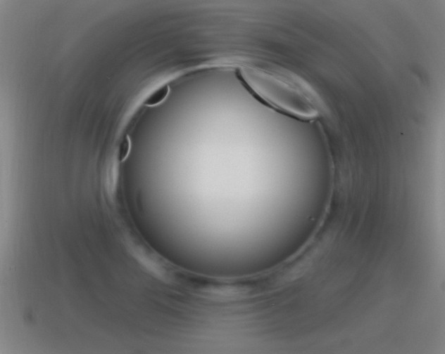 X0000114611276200910200932