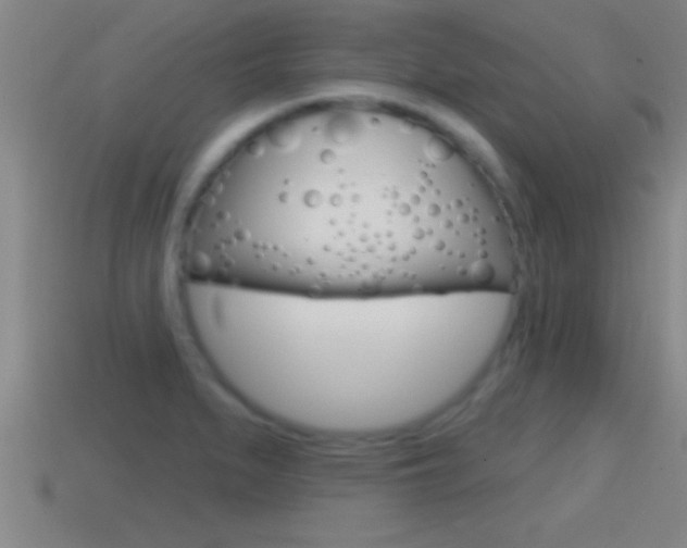 X0000114611279200910200932