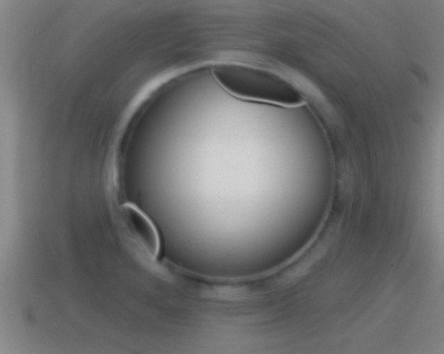 X0000114611280200910200932