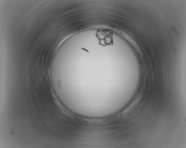 X0000114611281200910200932