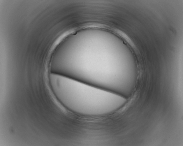 X0000114611282200910200932
