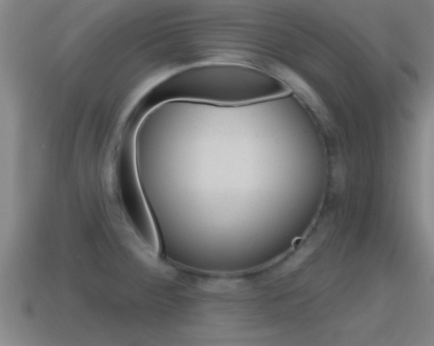 X0000114611284200910200932