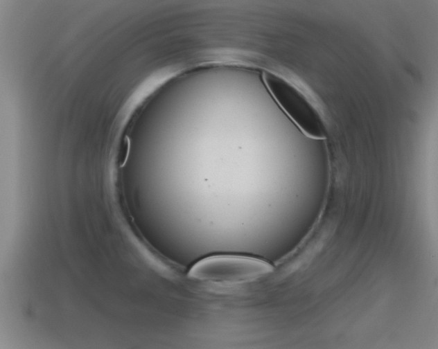 X0000114611285200910200932