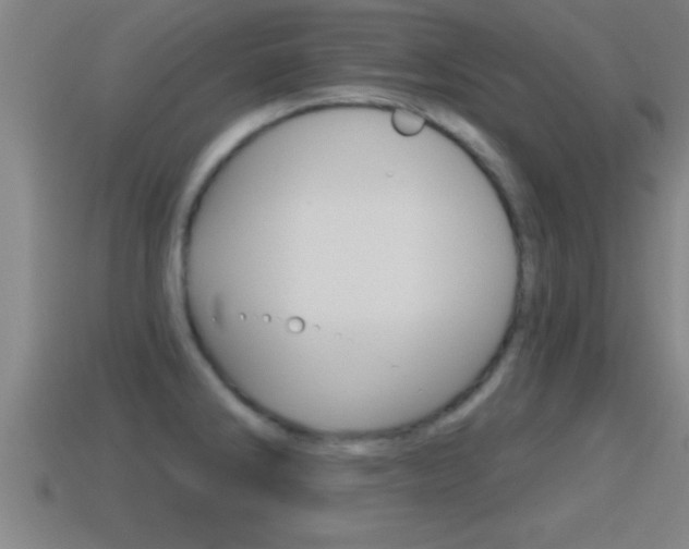 X0000114611286200910200932