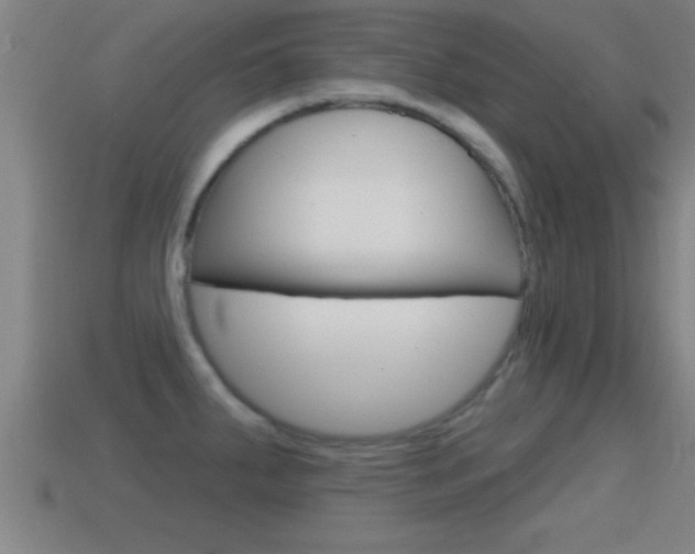X0000114611287200910200932