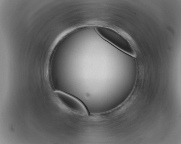 X0000114611288200910200932