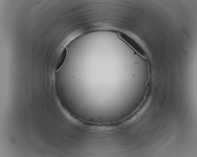 X0000114611289200910200932