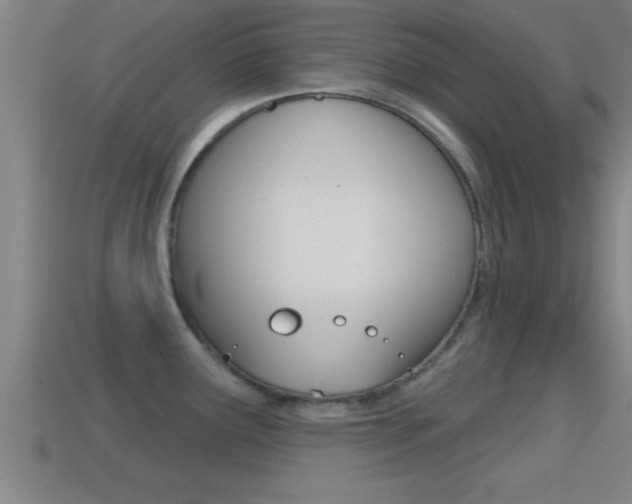 X0000114611291200910200932
