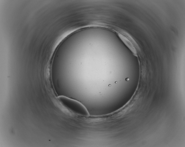 X0000114611292200910200932