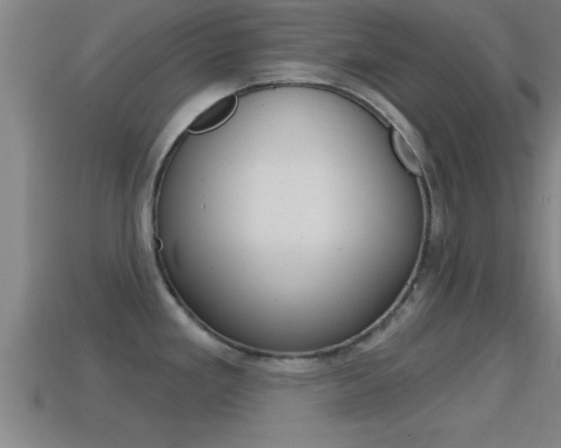 X0000114611293200910200932