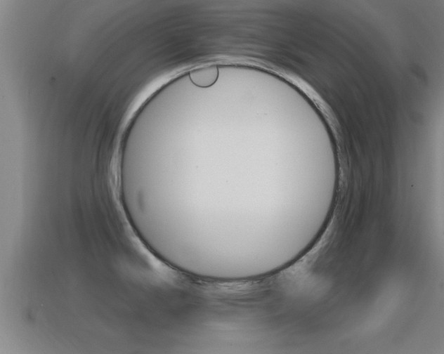 X0000114611294200910200932