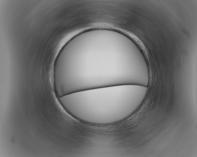 X0000114611295200910200932