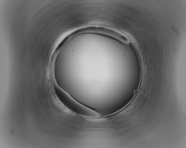 X0000114611296200910200932