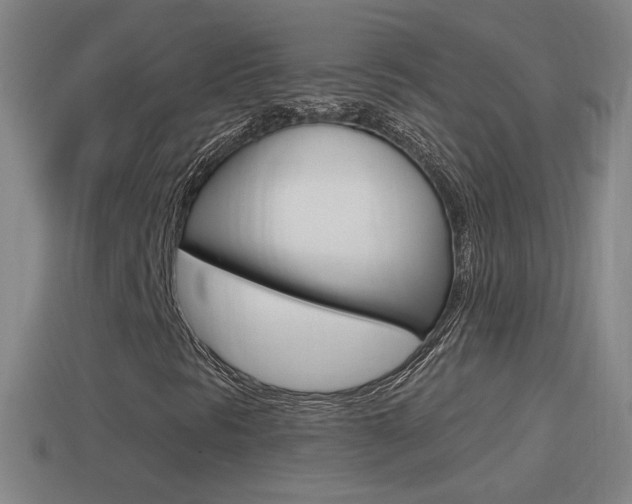 X0000114611297200910200931