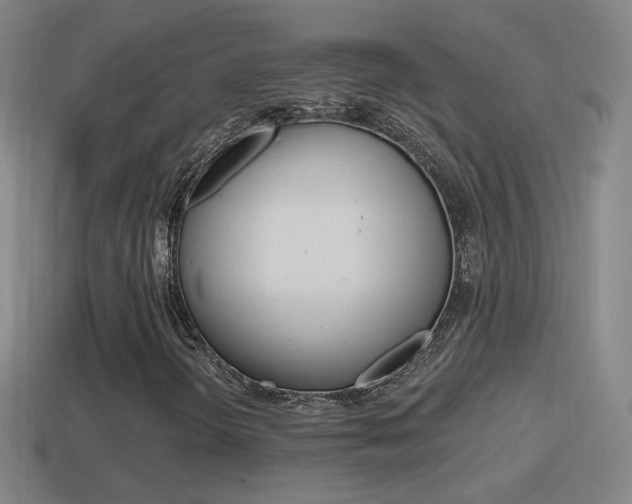 X0000114611298200910200931