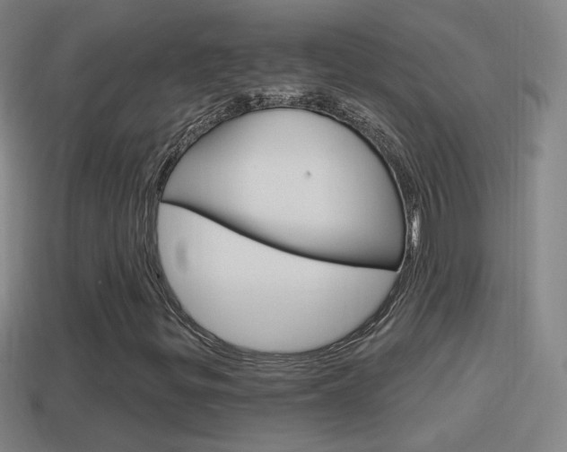 X0000114611299200910200931