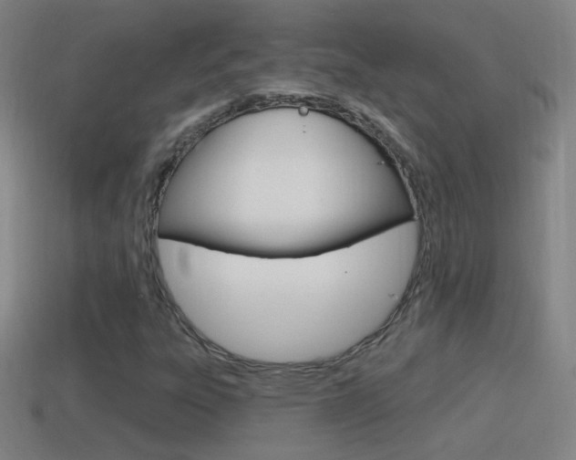 X0000114611303200910200931