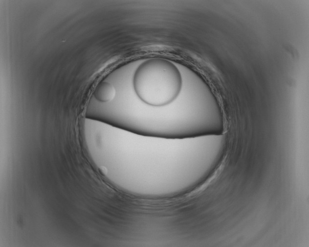 X0000114611305200910200931