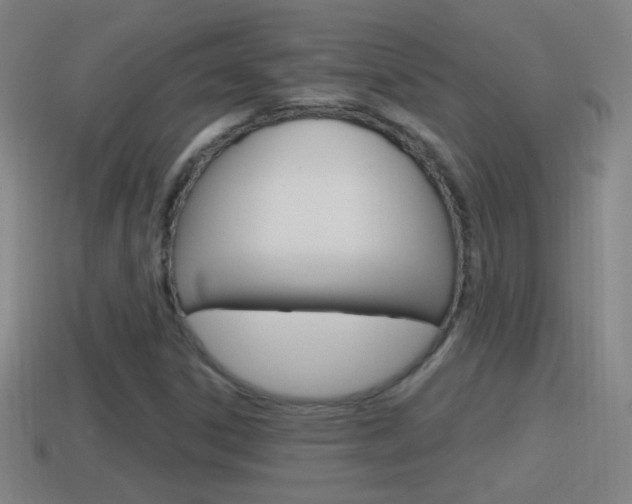 X0000114611306200910200931