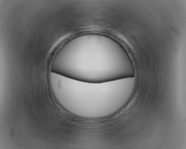 X0000114611307200910200931