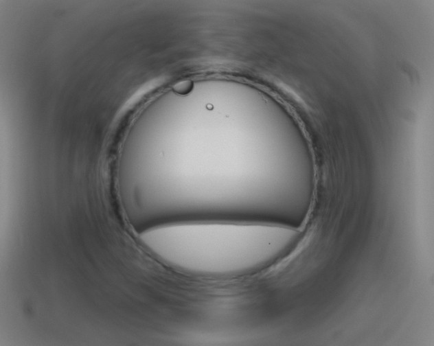 X0000114611309200910200931