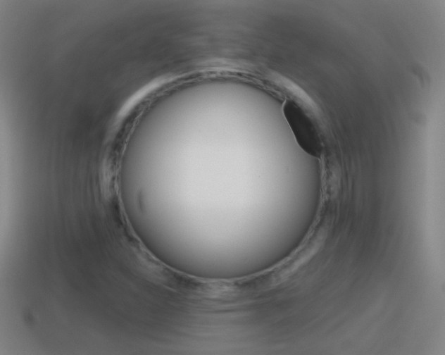 X0000114611310200910200931