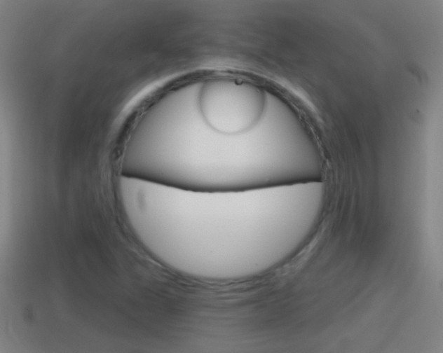 X0000114611311200910200931