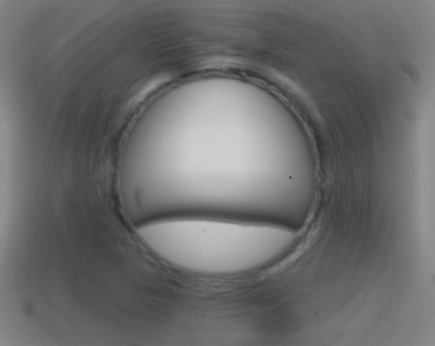 X0000114611313200910200931