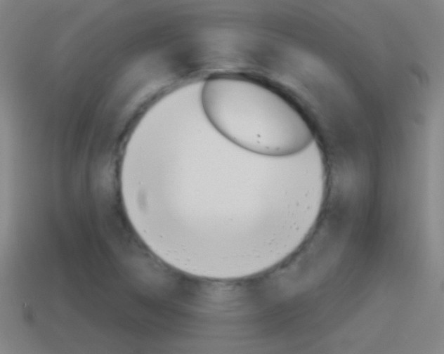 X0000114611314200910200931