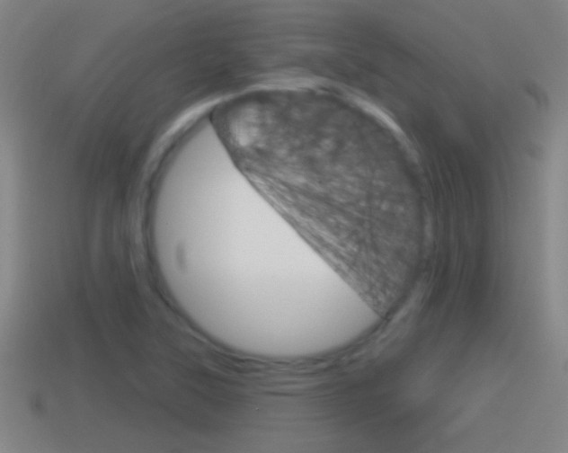 X0000114611315200910200931