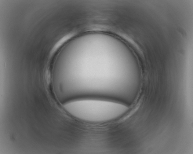X0000114611317200910200931
