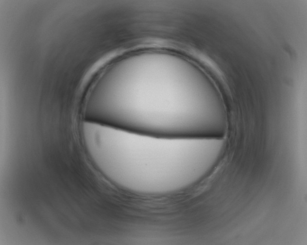 X0000114611318200910200931