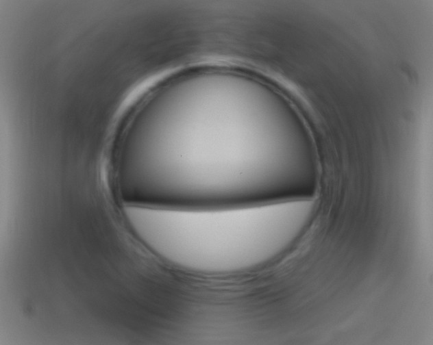 X0000114611319200910200931