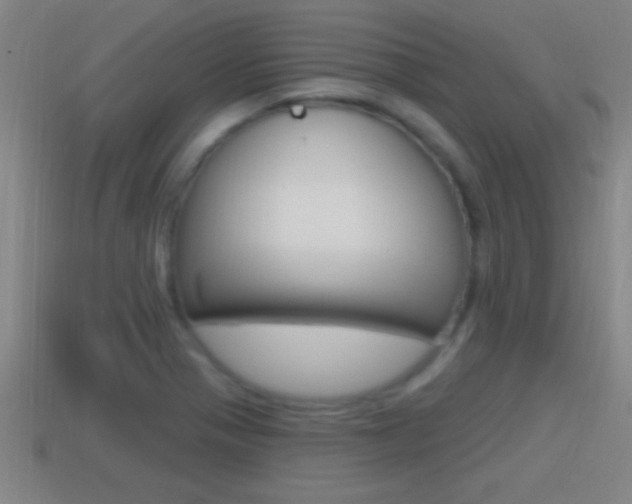X0000114611321200910200931