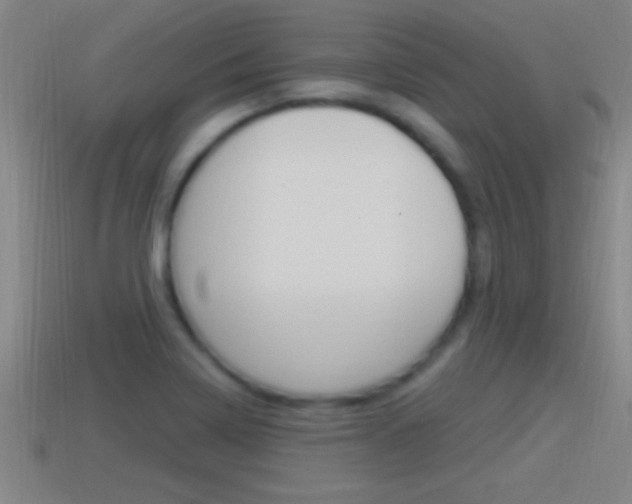 X0000114611322200910200931